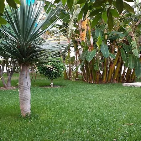 Rincon Mediterraneo * نيرخا